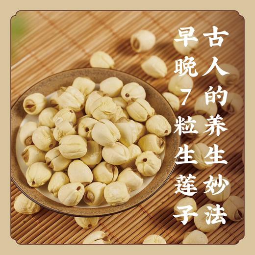 2新鲜莲子上市【手工白莲】白莲之乡—江西广昌 地标产品 手工去芯 粉糯清香 入口即化 商品图0