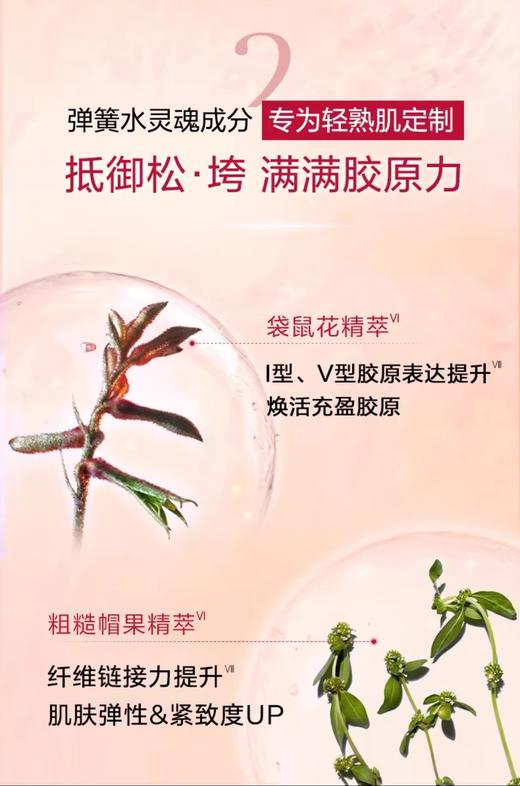 海南税仓新包装青春赋活粉水200ml 商品图5