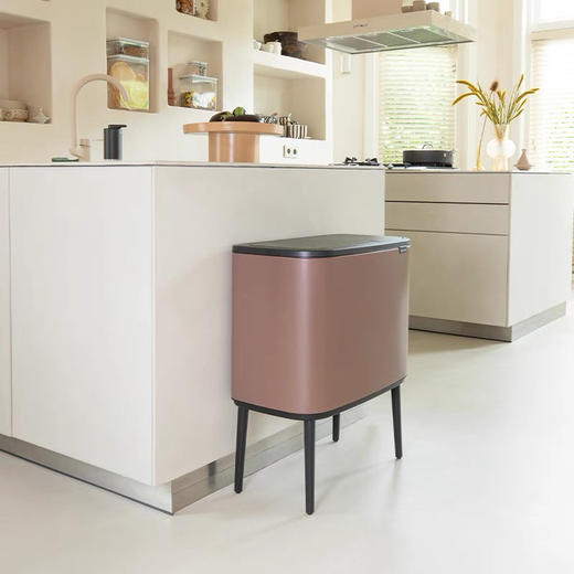 brabantia柏宾士BO触式垃圾桶进口家用大容量分类高颜值筒卫生桶 商品图0