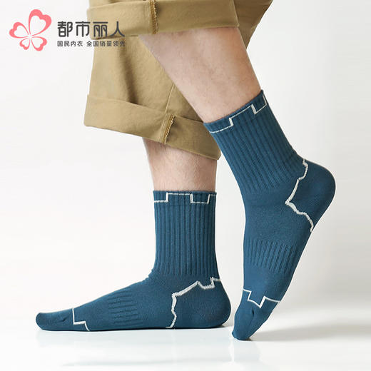 都市丽人都市锋尚中筒袜休闲系列精梳棉袜子男袜子FCTDF1 商品图0