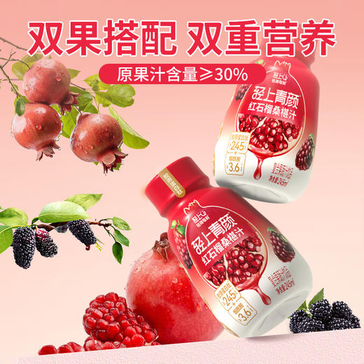 轻上 红石榴桑椹汁245ml*10瓶 复合果蔬汁饮品 0添加蔗糖 48小时发货 商品图2
