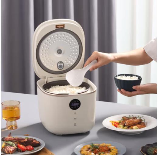 【小家电】大宇（DAEWOO）电饭煲家用多功能3L保温预约智能电饭煲 （星云白） 3L HR 商品图0