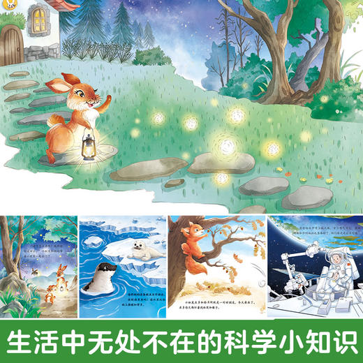 爱德少儿 自然科学启蒙绘本  12册全套3-6岁儿童趣味教育百科全书幼儿园绘本阅读 商品图6