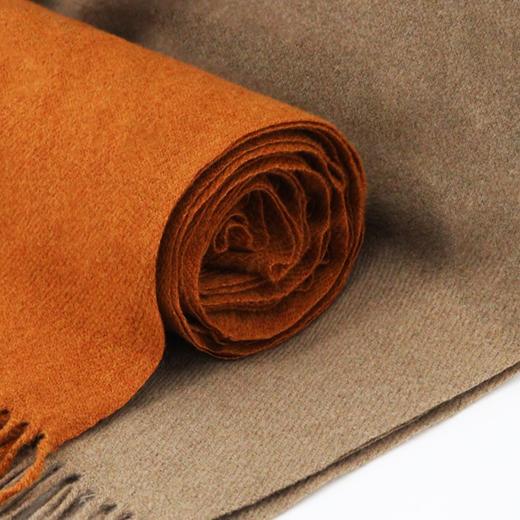 纯色仿羊绒围巾女高级感冬季多色百搭围脖时尚加厚男流苏披肩新款爆款小红书同款 商品图2