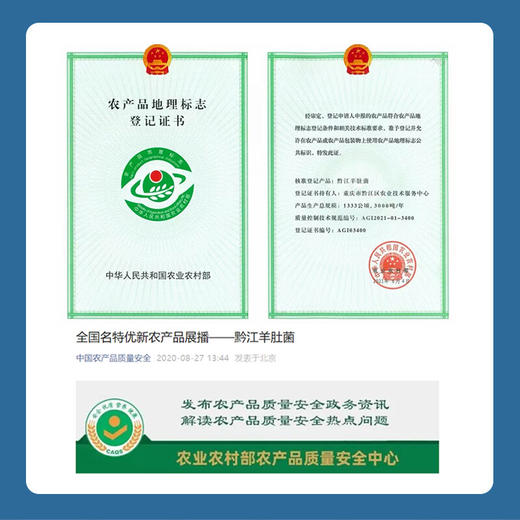 农掌柜重庆黔江农掌柜羊肚菌120g/盒礼盒装头茬个头饱满 商品图2