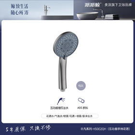 贵派卫浴 非凡系列 手喷 HS002QH 灰