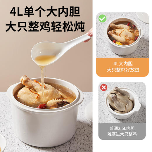 浦利顿多功能隔水炖PLD-DGD45-45A 商品图1