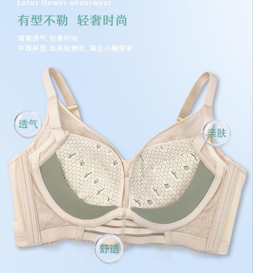 新上荷花美罩系列小胸聚拢舒适调整型 云感棉透气文胸 商品图2