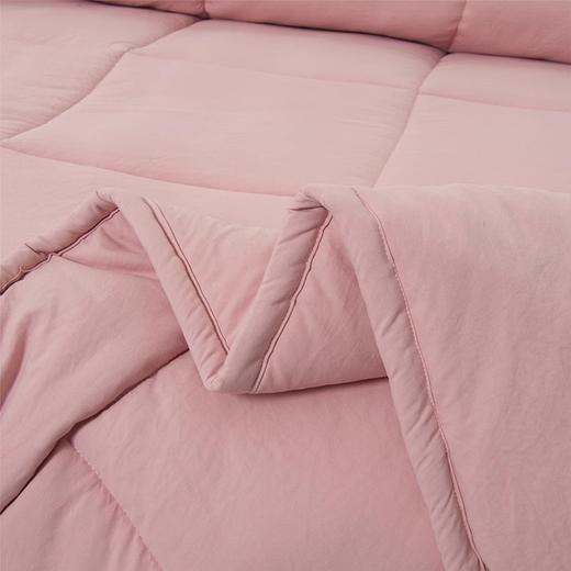 百富帝澳毛抗菌羽丝绒被加厚冬被保暖舒适被芯原价399，秒杀价299 商品图3