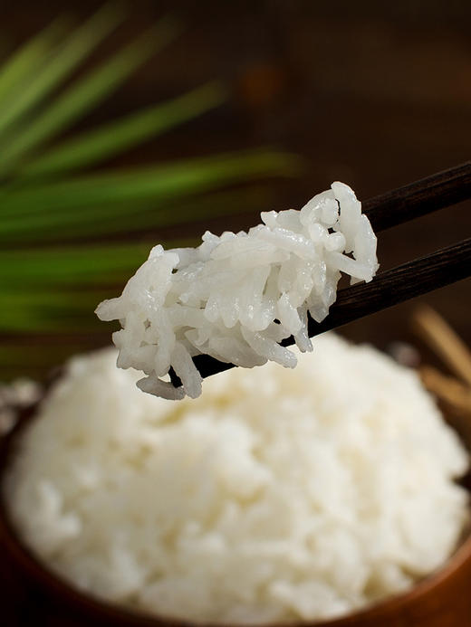 【金福乔府大院】五常大米2.5kg/袋 商品图3