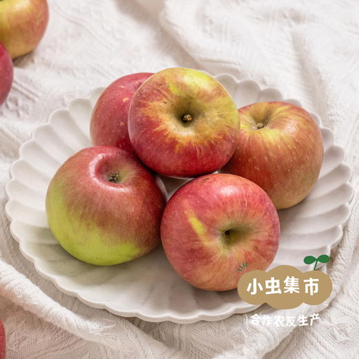 沙漠有机苹果 | 合作农友生产，产自内蒙古赤峰，生产者：倪铁军 *【公平贸易农人定价】 商品图2