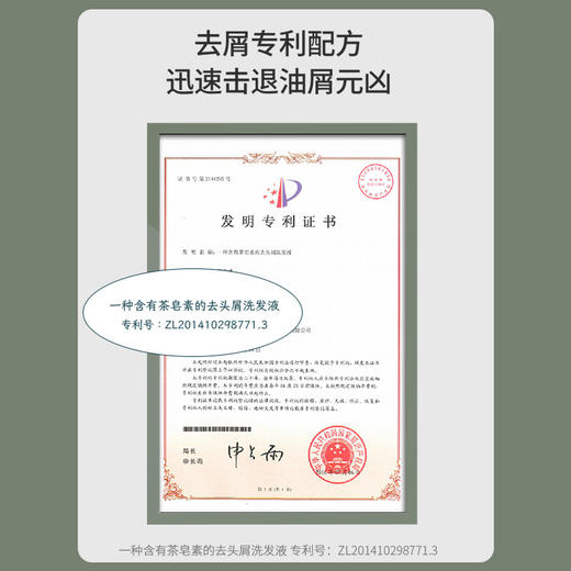 阿道夫 山海经系列洗护套装 350ml 洗净油腻 秀发蓬松 洗发水护发素 48小时发货 商品图8