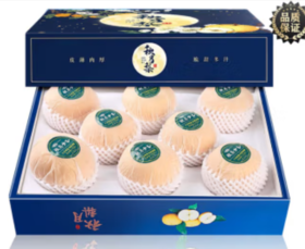 秋月梨	8斤