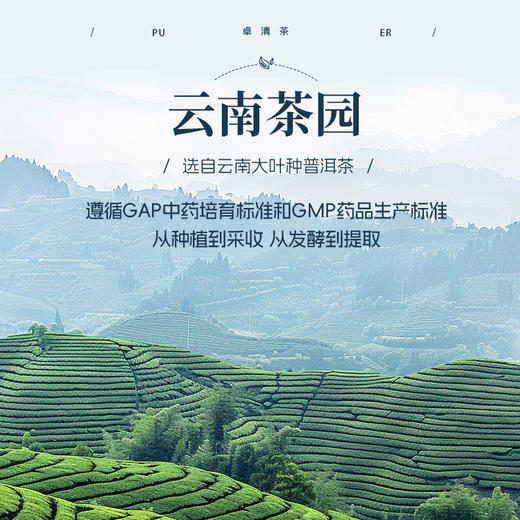 天士力牌 卓清速溶茶 10支/盒 商品图1