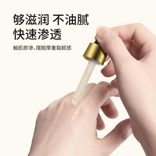 明大妈 艾草小黄姜精油 10ml/瓶 商品图2