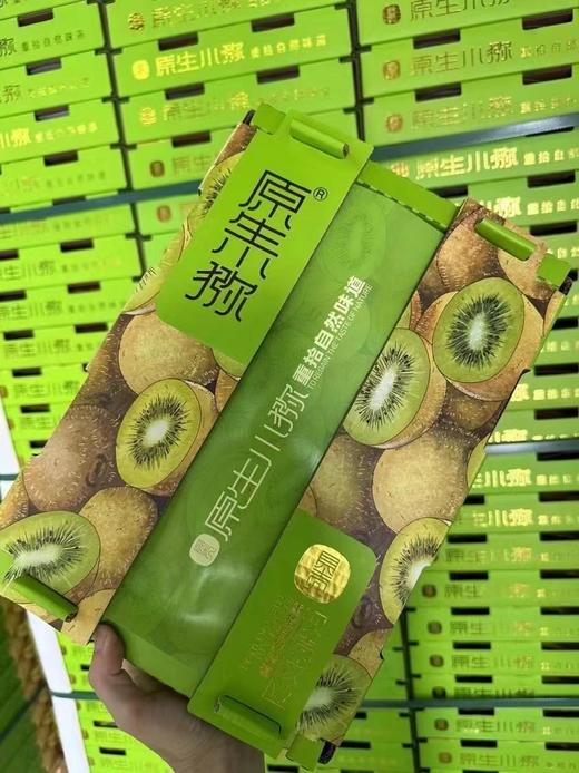 贝壳农业翠香猕猴桃（10个装） 商品图0