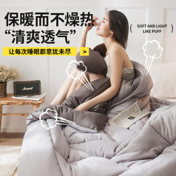 雅鹿·自由自在A类被子抗菌春秋季棉被芯单双人宿舍学生3.5斤150x200cm 古典灰 商品图1