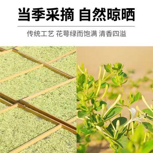 【企业】万圣 金银花 商品图2