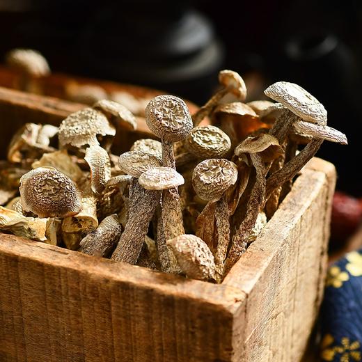 【企业】万圣 鹿茸菇 商品图1