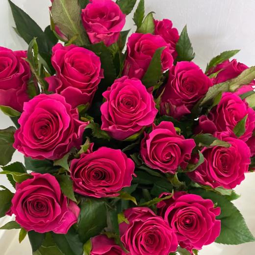 高盛单头玫瑰丨A级花材 商品图2