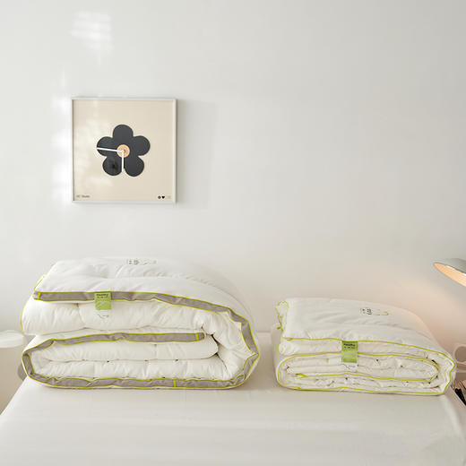 TTH云柔抗菌四季被 商品图3