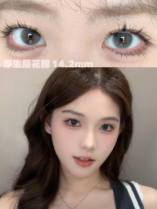 toffee日抛 浮生后花园 灰/仲夏夜之梦 紫 14.2mm 一盒十片 日抛无售后！！ 商品图2