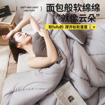 雅鹿·自由自在A类被子抗菌春秋季棉被芯单双人宿舍学生3.5斤150x200cm 古典灰 商品图2