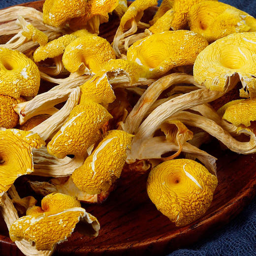 【企业】万圣 鸡油菌 商品图2