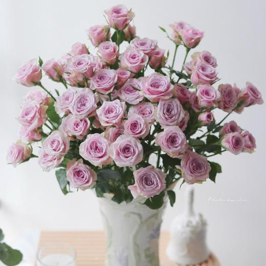 多头莱拉丨A级花材 10支 商品图2