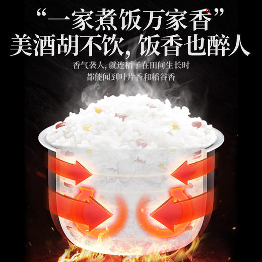 【金福乔府大院】御品五常大米5kg/袋 商品图2