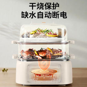 九阳电蒸锅早餐机ZD100HG-GZ605【分仓直发，72小时发货，周末节假日不发货】