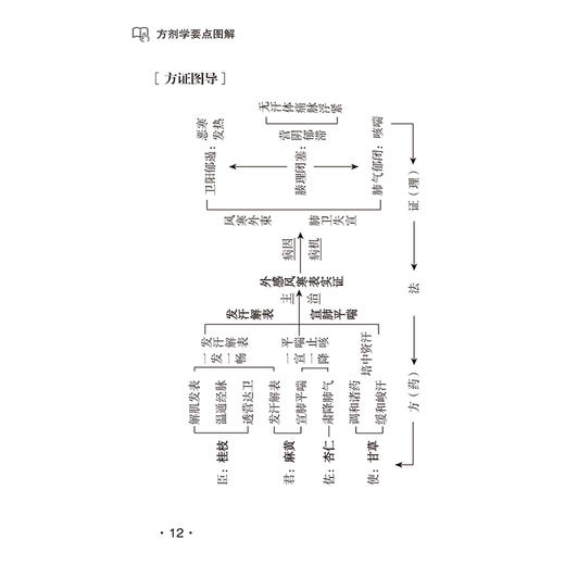 方剂学要点图解 王虎平编著 供广大中医药院校在校学生备考使用亦可供临床医师中医药爱好者参阅 中国医药科技出版社9787521433630 商品图4