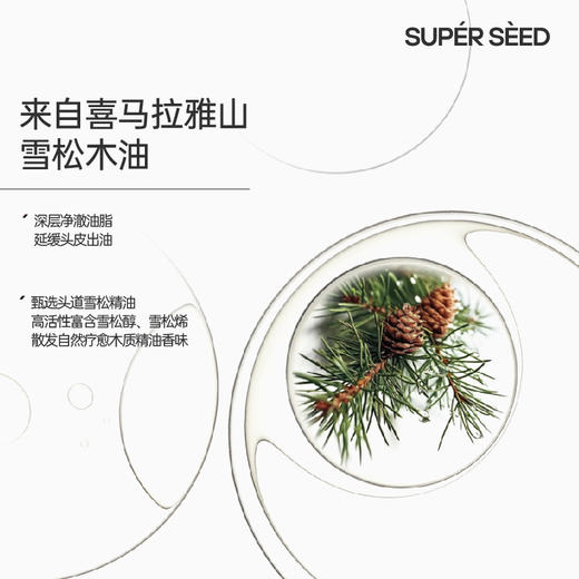 【新版升级】超级种子SUPERSEED雪松头皮洗发水 清洁蓬松控油去屑柔顺洗发露 温和干净配方无硅油 300g/瓶 商品图2