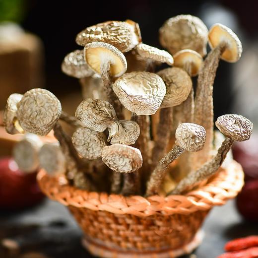 【企业】万圣 鹿茸菇 商品图5