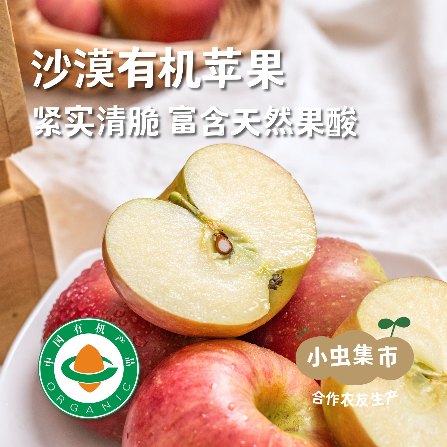 沙漠有机苹果 | 合作农友生产，产自内蒙古赤峰，生产者：倪铁军 *【公平贸易农人定价】