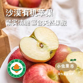 沙漠有机苹果 | 合作农友生产，产自内蒙古赤峰，生产者：倪铁军 *【公平贸易农人定价】