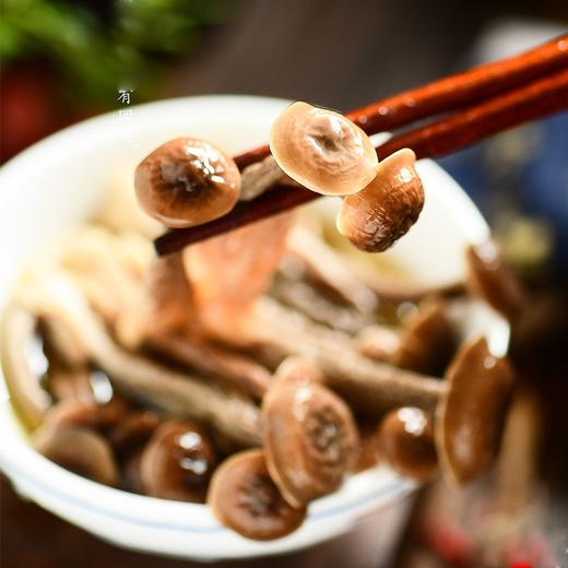 【企业】万圣 鹿茸菇 商品图4