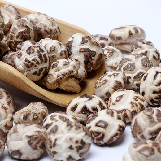 【企业】万圣 珍珠菇 商品图2