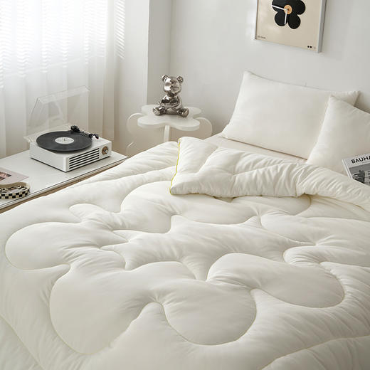 TTH云柔抗菌四季被 商品图1