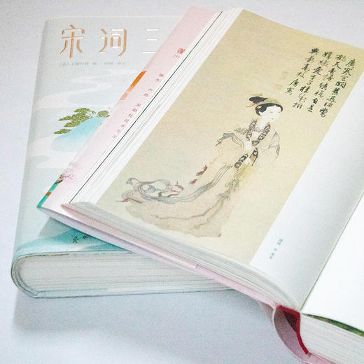 【马未都推荐版唐诗宋词品读套系】《唐诗三百首》+《宋词三百首》（套装2册） 商品图6