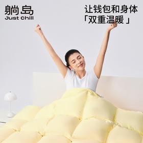 躺岛®️阳光绒绒高效分区复合羽绒被