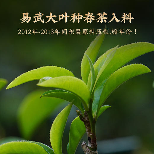 澜沧古茶2013年易武11年陈普洱茶生茶生普大饼345g 商品图1