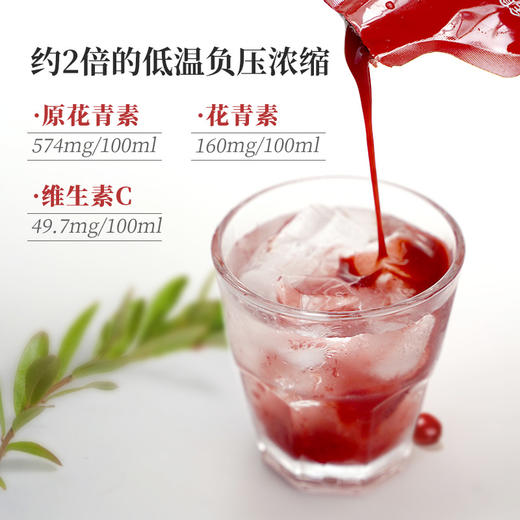 越桔(野生蔓越莓)复合浓缩液210mL/盒 全食物日记×妆食记 商品图2