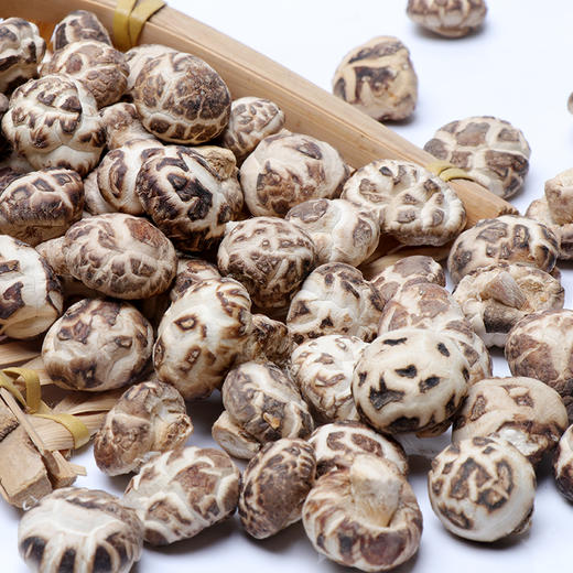 【企业】万圣 珍珠菇 商品图4