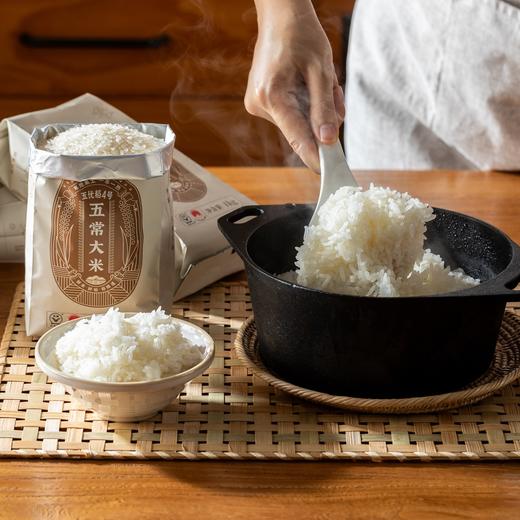 菜菜家五常大米|新米现碾，鲜！空口吃也香糯 商品图9