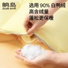 躺岛®️阳光绒绒高效分区复合羽绒被 商品缩略图2