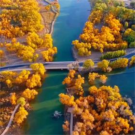 【纯玩-秋韵南疆】积分可抵300元/人，抵后¥9380/人起，乌进喀回，不走回头路，双飞/三飞10日，2+1用车，升级7晚4钻+2晚舒适型 ，盘龙古道换乘小车