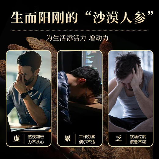 内蒙古仿野生肉苁蓉道地天然油性饱满无熏无硫干嚼泡水泡酒120g 商品图2