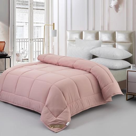 百富帝澳毛抗菌羽丝绒被加厚冬被保暖舒适被芯原价399，秒杀价299 商品图1