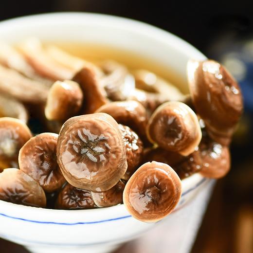 【企业】万圣 鹿茸菇 商品图3